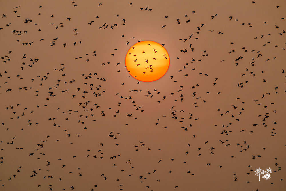 480479285 10162380602334082 256139503725339424 n