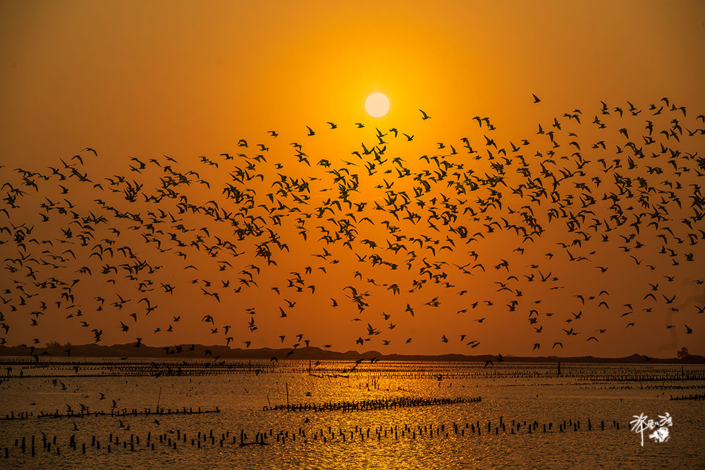 480690183 10162380603259082 6318978195557857151 n