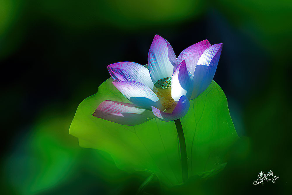 490003931 10162573607819082 8042579069594019985 n