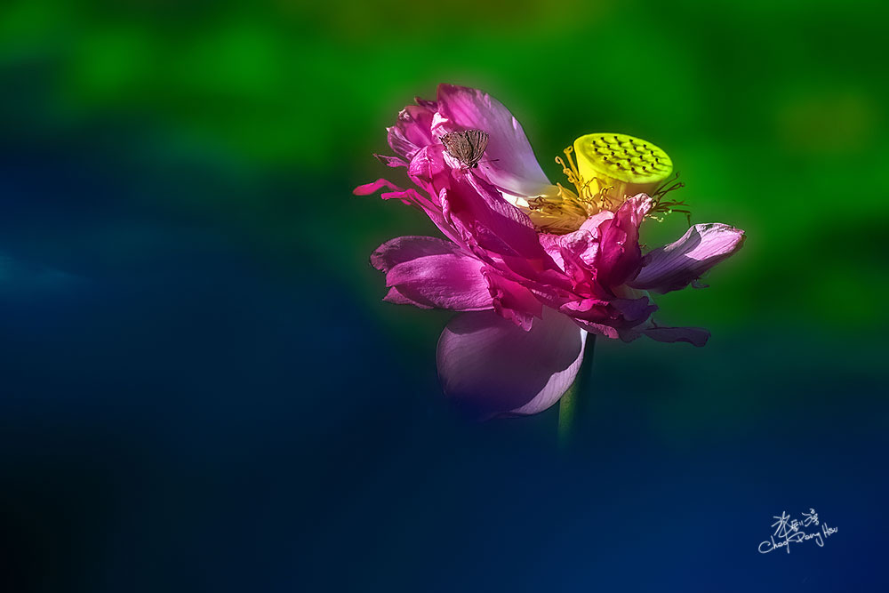 490097951 10162573607429082 9097190064385807640 n