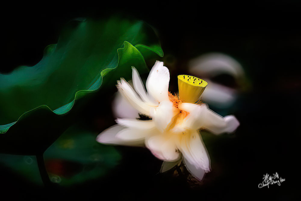 490189787 10162573607689082 1778236126351863848 n