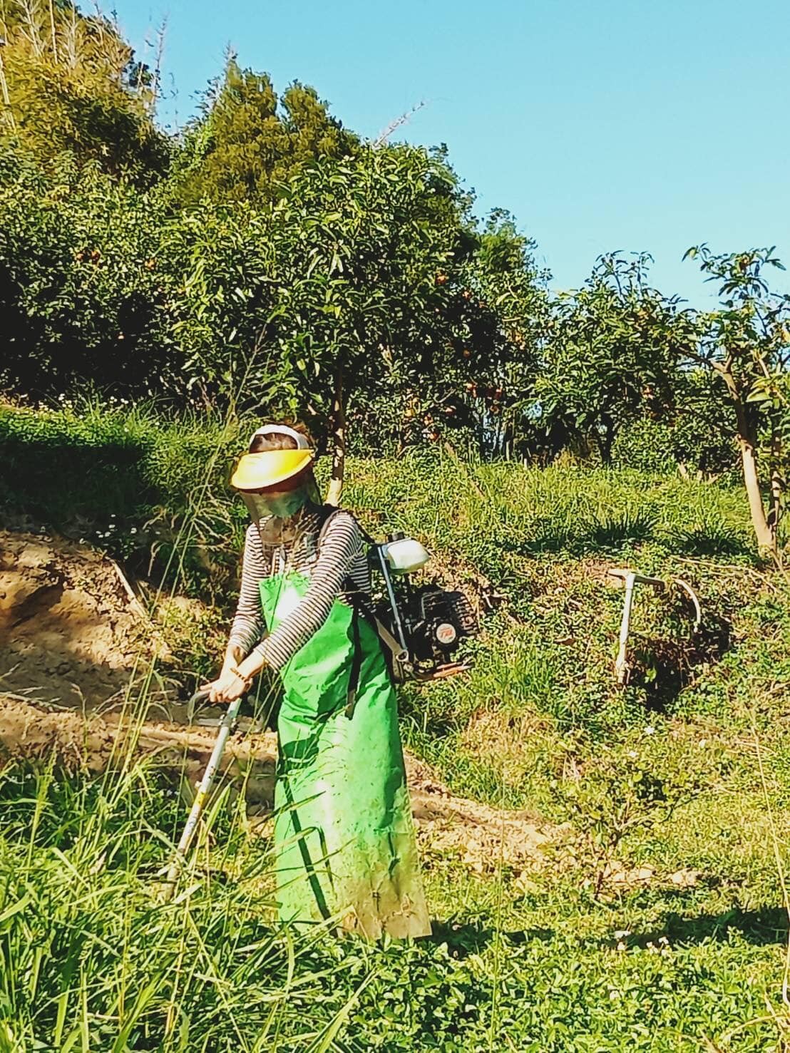 messageImage 1761790432485